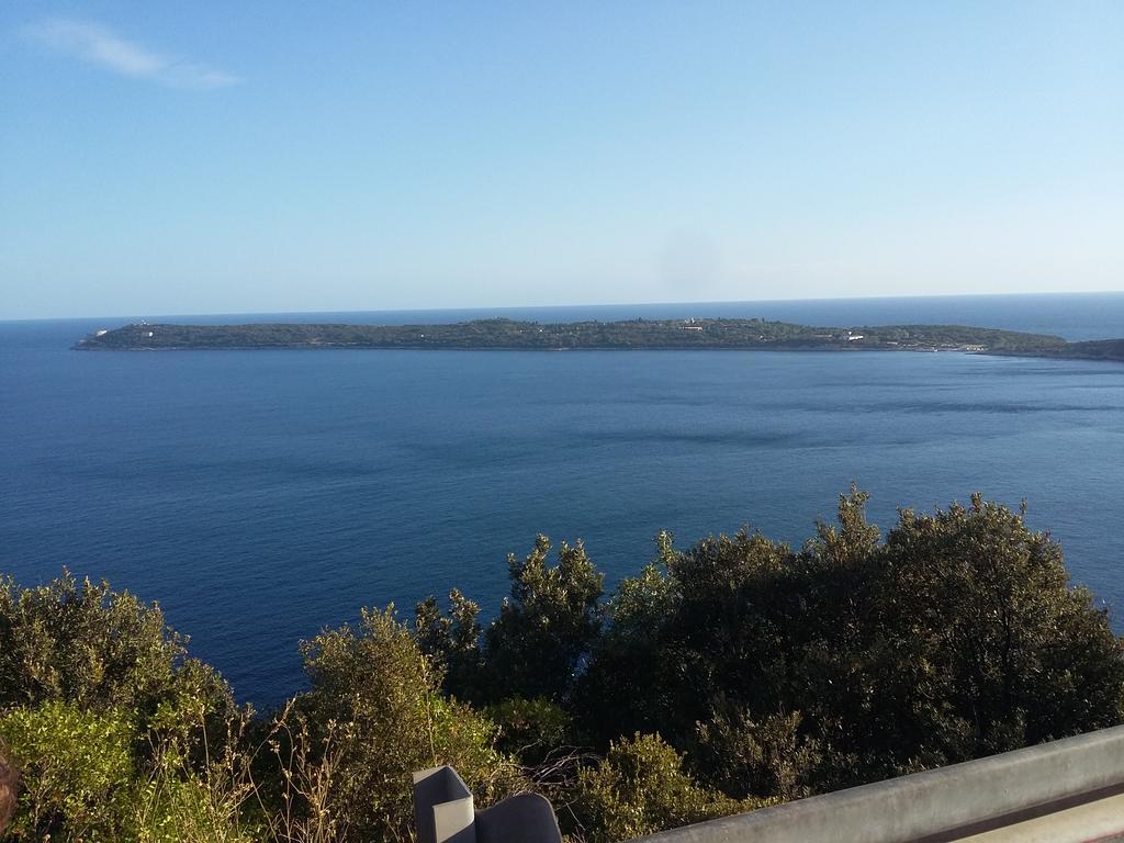 Apartmani Seka Herceg Novi Esterno foto